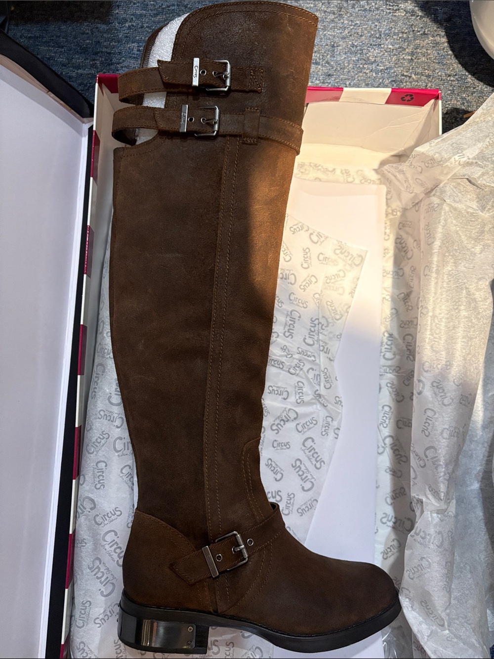 New Sam Edelman Circus, tall suede boots women’s